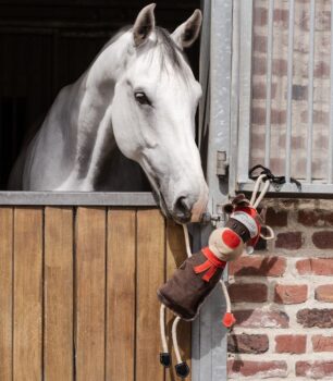 Waldhausan Horse Toy – Rudi The Reindeer