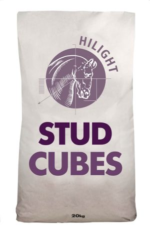 HiLight Stud Cubes 20kg