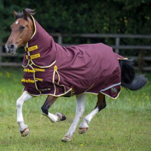 Gallop Trojan Xtra 200 Duraproof Combo Turnout