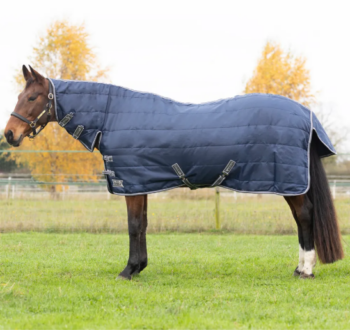 StormX Empra 100g Combo Stable Rug