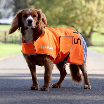 Shires Equestrian Equi-Flector® Mesh Dog Coat