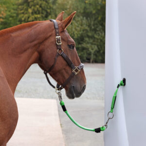 Shires Equestrian ARMA Heavy Duty Trailer Tie