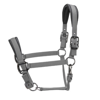 ARMA Pro Padded Headcollar