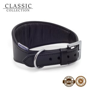 Digby & Fox Padded Greyhound Collar