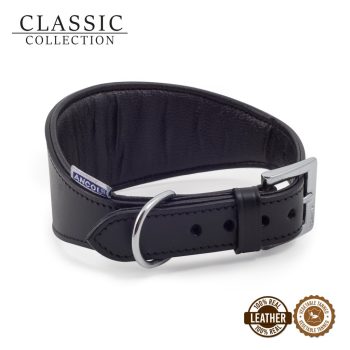 Digby & Fox Padded Greyhound Collar
