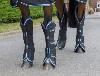 Shires ARMA Air Defence Travel Boot