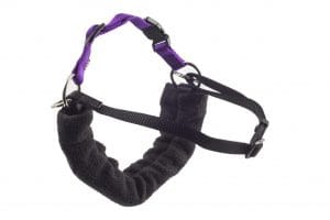 Ancol Happy At Heel Harness