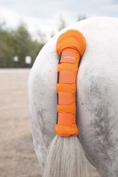 Shires ARMA Padded Tail Guard