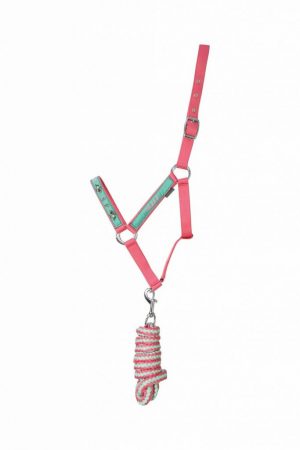 Hy Equestrian Thelwell Collection Trophy Headcollar And Leadrope