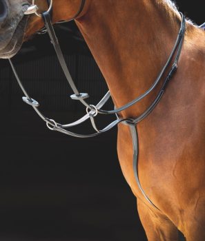 Shires Salisbury Running Martingale White Stitch