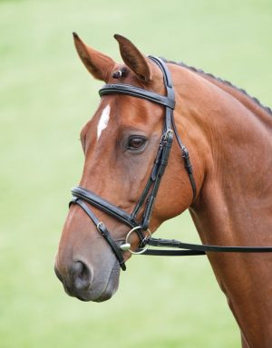 Shires Salisbury Bodenham Bridle