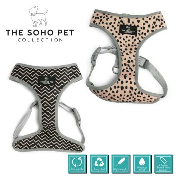 The Soho Collection Dalmatian/Zigzag Patterned Harness