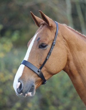 Nosebands