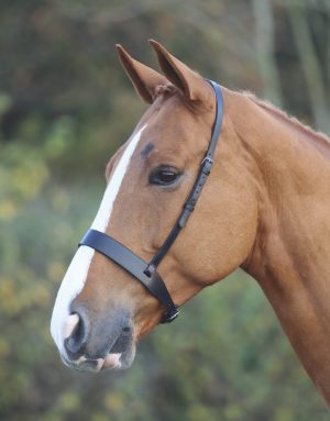 Shires Velociti GARA Hunter Cavesson Noseband