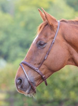 Shires Velociti GARA Flash Noseband