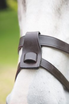 Shires Blenheim Flash Attachment