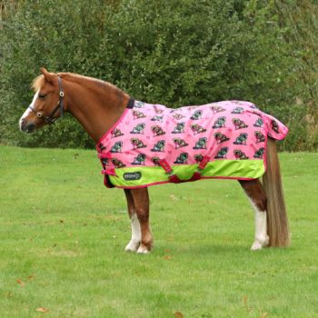 StormX Original 0 Turnout Rug – Thelwell Collection Hugs