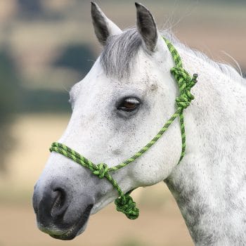 Shires Rope Control Headcollar