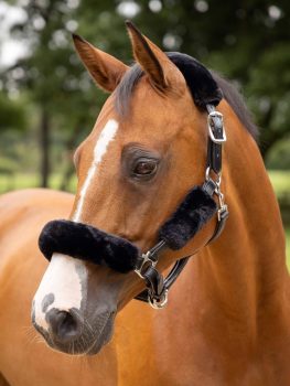 LeMieux Simuwool Headcollar Set