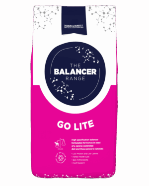 D&H Go Lite Balancer 15kg
