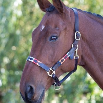 Blenhein Leather Polo Headcollar