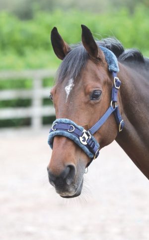 Fleece Lined Lunge Cavesson