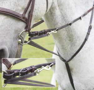 Shires Blenheim Market Harborough Martingale