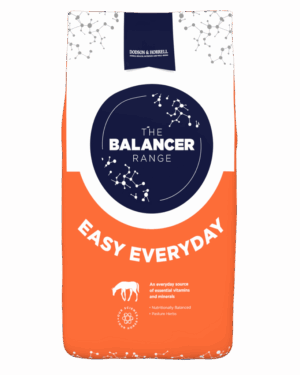 D&H Easy Everyday Balancer 15kg
