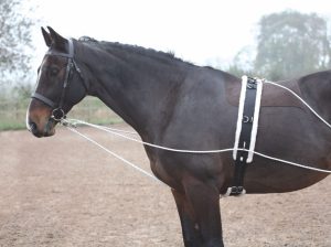Training Aid