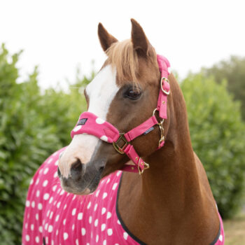 Supreme Products Dotty Fleece Headcollar & Leadrope
