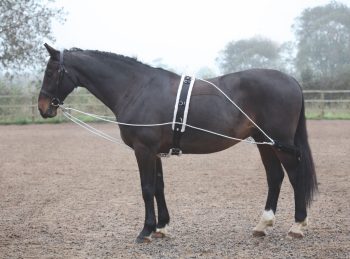 Shires Lunging Aid Onesize