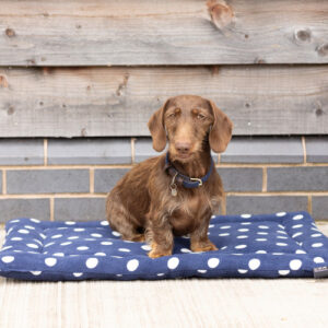 Supreme Products Dotty Fleece Dog Bed Navy