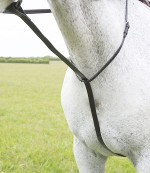 Blenheim Standing Martingale