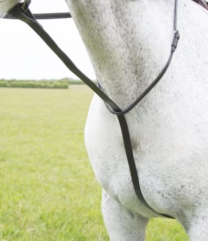 Blenheim Standing Martingale
