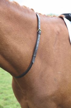 Shires Velociti GARA Leather Neck Strap