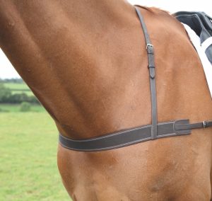 Blenheim Elastic Breastgrith