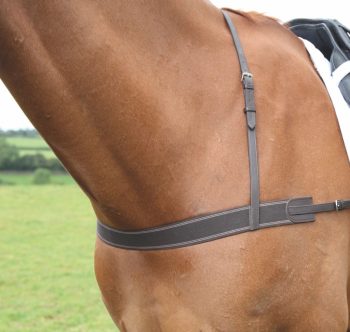Blenheim Elastic Breastgrith