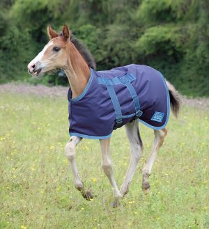 Shires Tempest Original Foal Turnout Rug