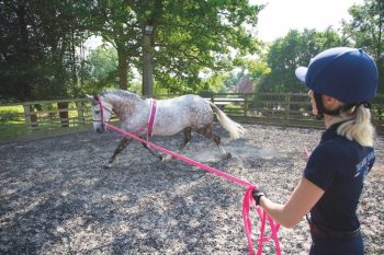 Shires Nylon Roller With Fleece Padding