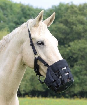 Grazing Muzzles