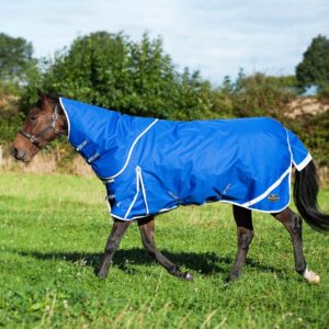 Gallop Trojan Xtra 300g Dual Turnout Set