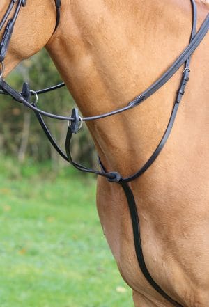 Martingales