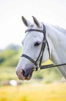 Shires Velociti RAPIDA Hunter Cavesson Bridle