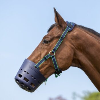 Shires Flexi Grazing Muzzle