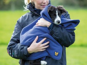 Shires Digby & Fox Dog Towel