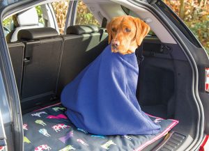 Shires Digby & Fox Towel Bag