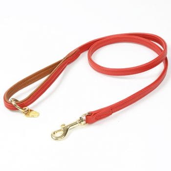Shires Digby & Fox Padded Leather Dog Lead