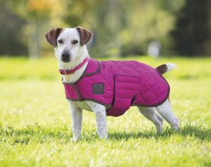Digby & Fox Quilted Dog Coat