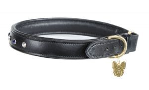 Shires Digby & Fox Diamante Dog Collar