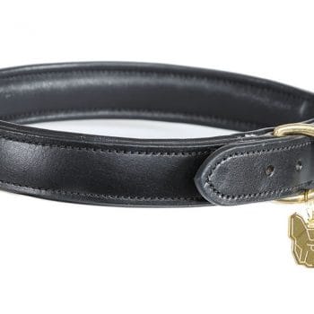 Shires Digby & Fox Diamante Dog Collar